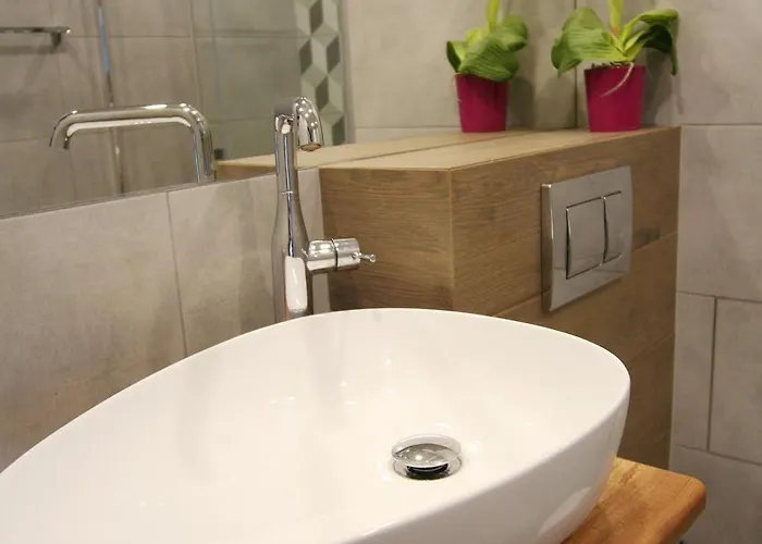 公寓 Zalew Borki Kosowska 拉多姆